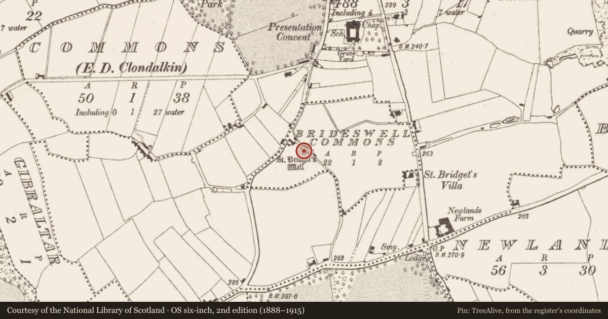Ordnance Survey six-inch map, 2nd edition (1888–1915) covering the location of Inscribed stone, Brideswell Commons, County Dublin, with a pin at the register's coordinates