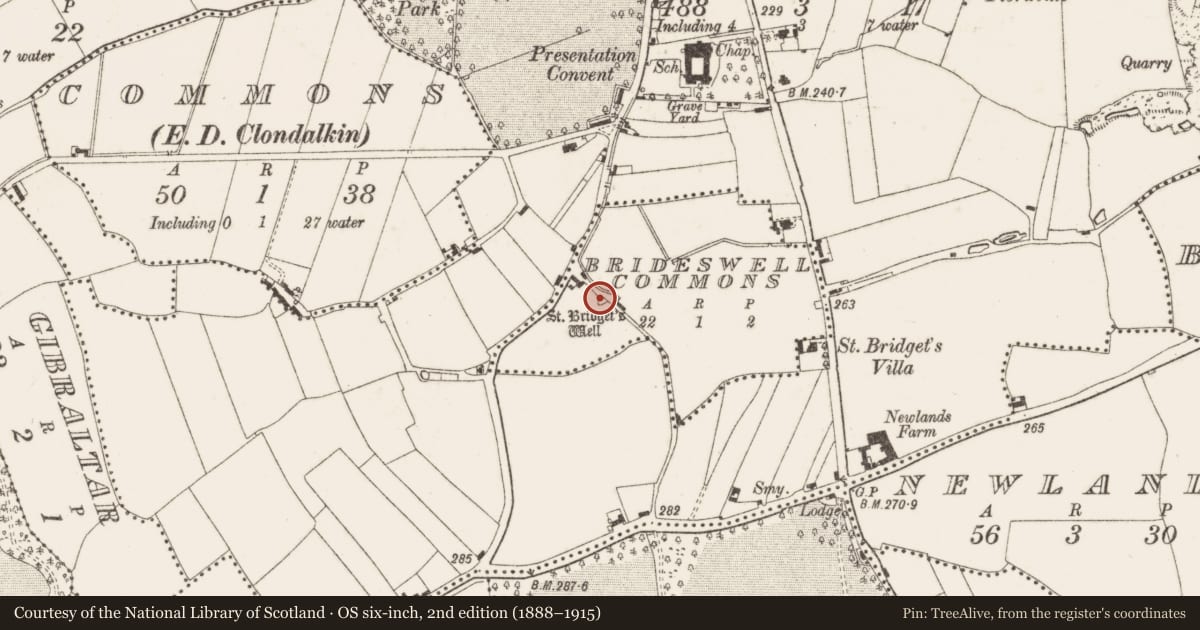 Ordnance Survey six-inch map, 2nd edition (1888–1915) covering the location of Children's burial ground, Brideswell Commons, County Dublin, with a pin at the register's coordinates