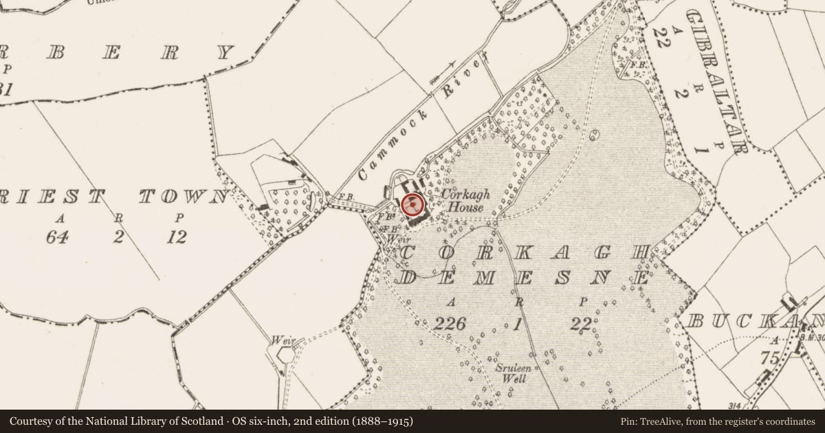 Ordnance Survey six-inch map, 2nd edition (1888–1915) covering the location of Mill - unclassified, Corkagh Demesne, County Dublin, with a pin at the register's coordinates