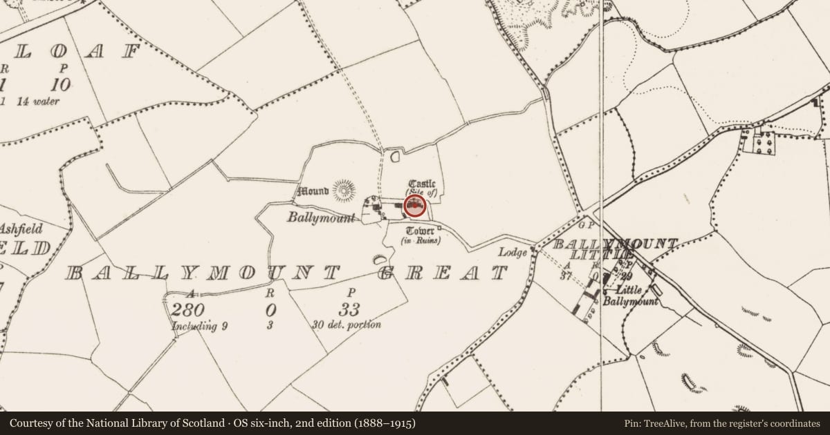 Ordnance Survey six-inch map, 2nd edition (1888–1915) covering the location of House - fortified house, Ballymount Great, County Dublin, with a pin at the register's coordinates