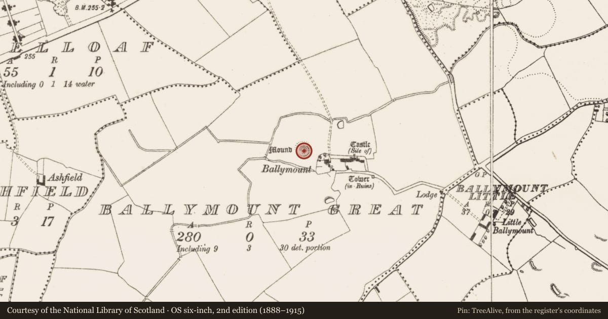 Ordnance Survey six-inch map, 2nd edition (1888–1915) covering the location of Barrow - stepped barrow, Ballymount Great, County Dublin, with a pin at the register's coordinates