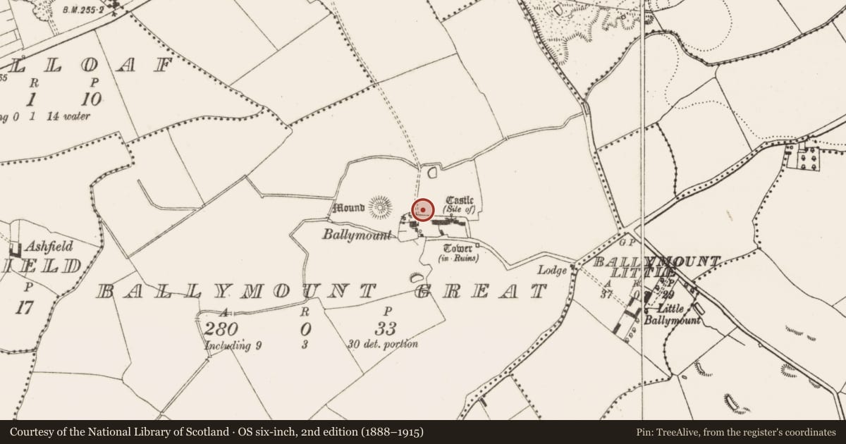 Ordnance Survey six-inch map, 2nd edition (1888–1915) covering the location of Road - road/trackway, Ballymount Great, County Dublin, with a pin at the register's coordinates