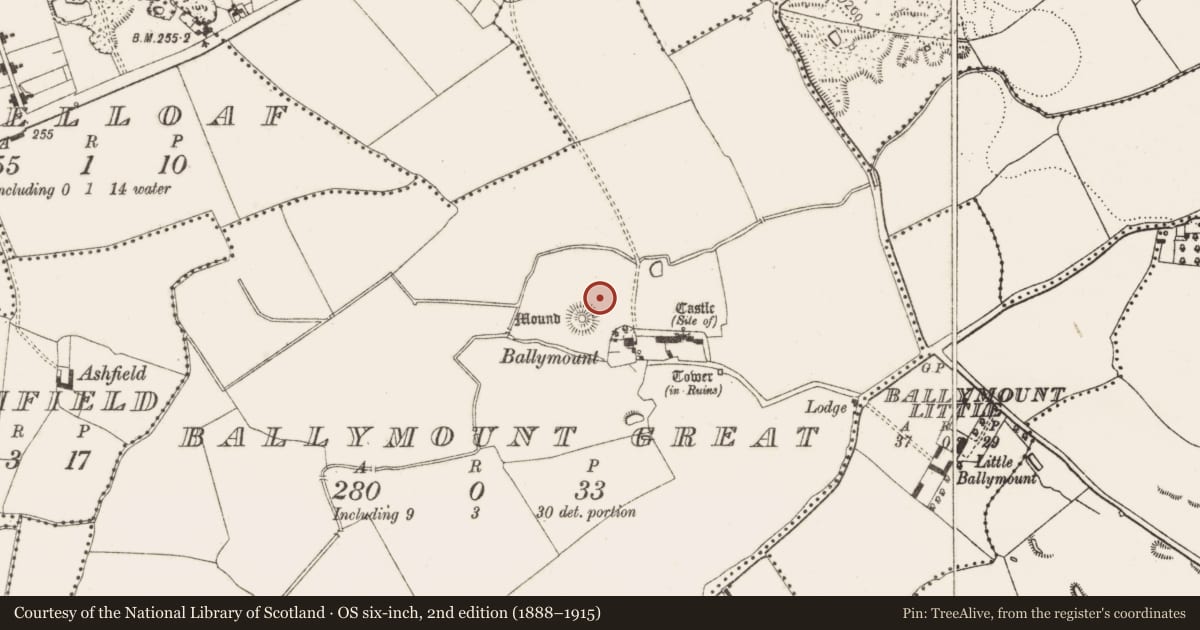 Ordnance Survey six-inch map, 2nd edition (1888–1915) covering the location of Ceremonial enclosure, Ballymount Great, County Dublin, with a pin at the register's coordinates