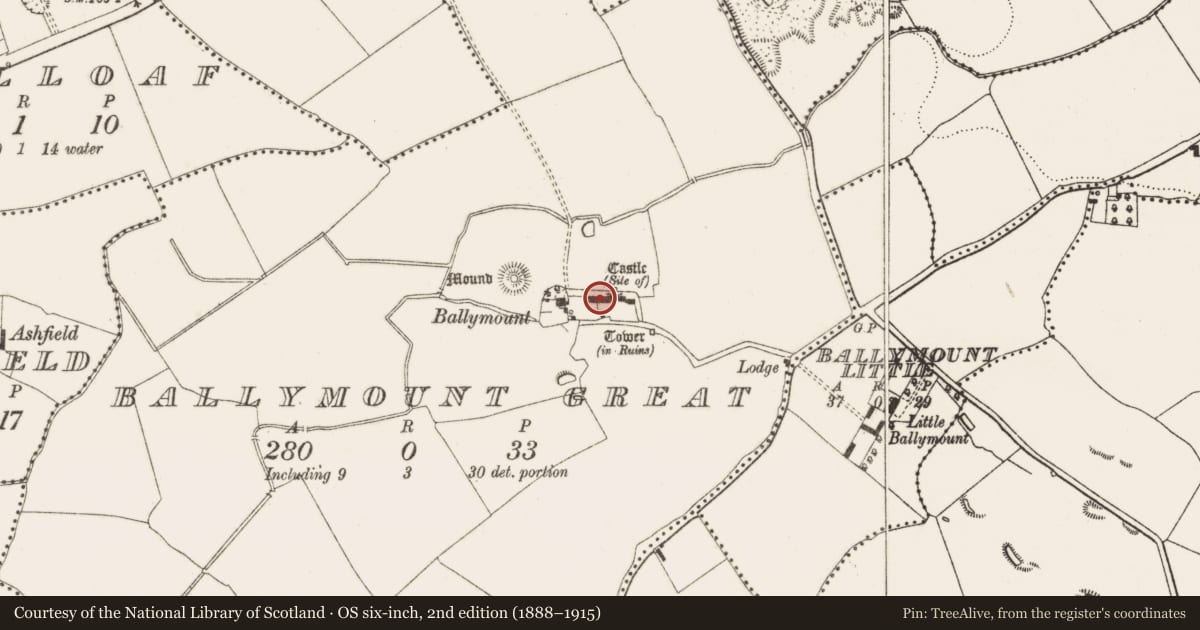 Ordnance Survey six-inch map, 2nd edition (1888–1915) covering the location of Kiln - lime, Ballymount Great, County Dublin, with a pin at the register's coordinates