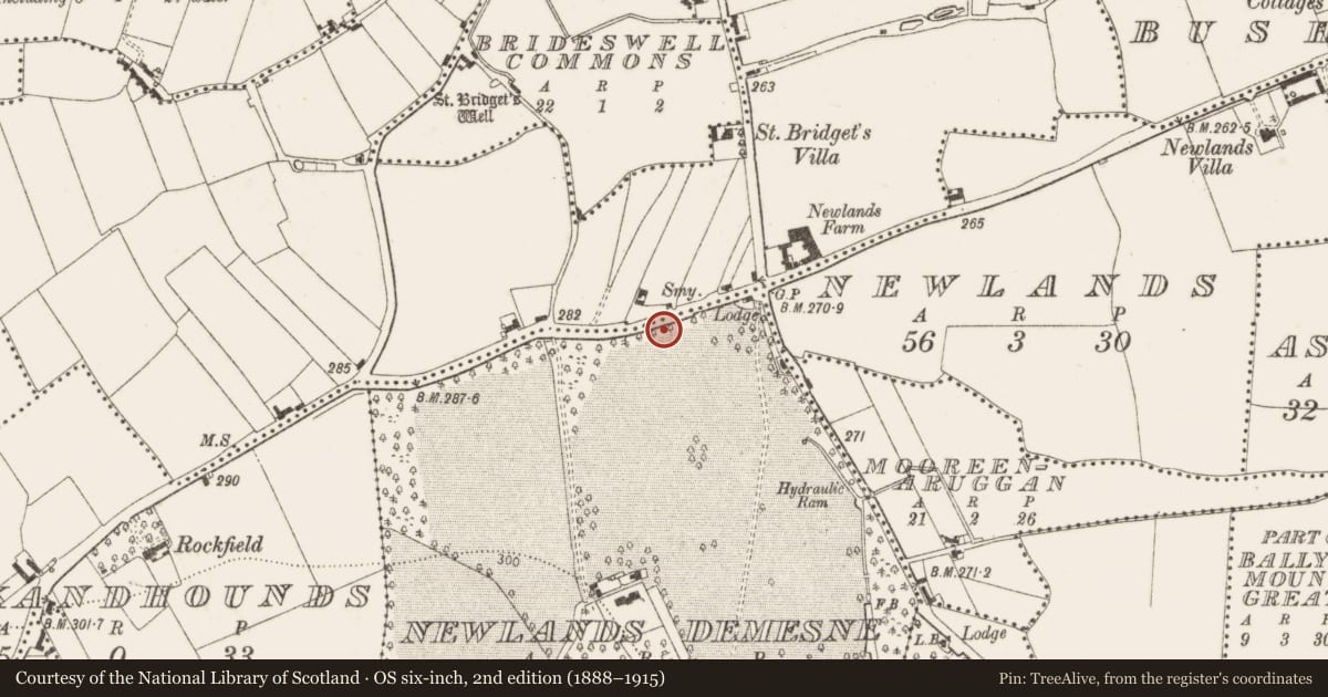 Ordnance Survey six-inch map, 2nd edition (1888–1915) covering the location of Road - road/trackway, County Dublin, with a pin at the register's coordinates