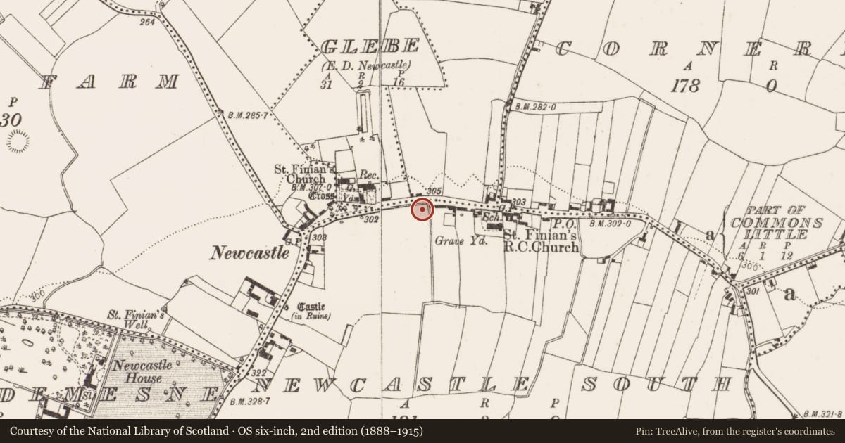Ordnance Survey six-inch map, 2nd edition (1888–1915) covering the location of Well, Newcastle South, County Dublin, with a pin at the register's coordinates