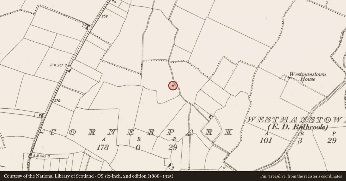 Ordnance Survey six-inch map, 2nd edition (1888–1915) covering the location of Enclosure, Cornerpark, County Dublin, with a pin at the register's coordinates
