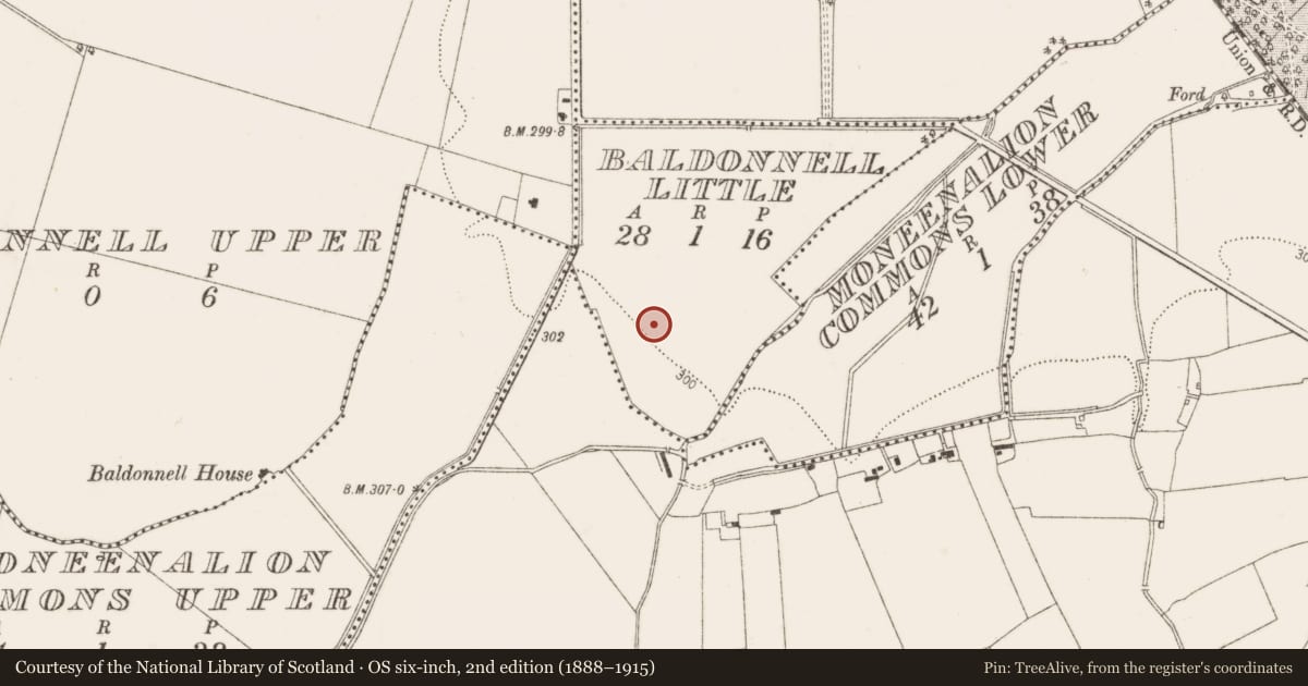 Ordnance Survey six-inch map, 2nd edition (1888–1915) covering the location of Ringfort - unclassified, Baldonnell Little, County Dublin, with a pin at the register's coordinates