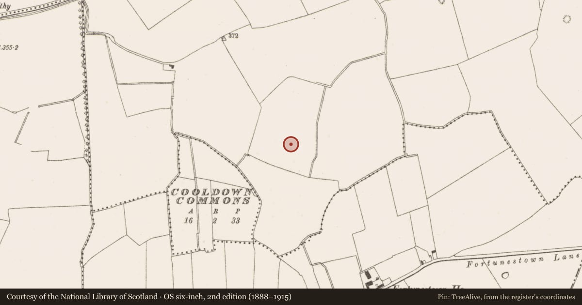 Ordnance Survey six-inch map, 2nd edition (1888–1915) covering the location of Habitation site, Brownsbarn, County Dublin, with a pin at the register's coordinates