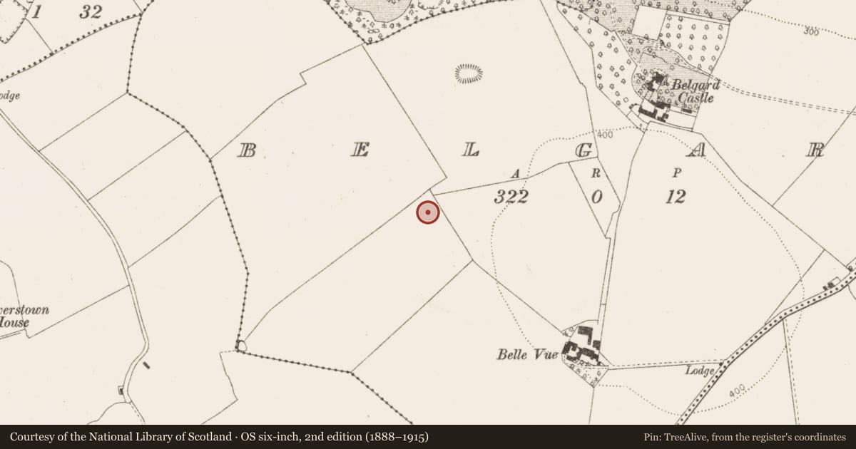 Ordnance Survey six-inch map, 2nd edition (1888–1915) covering the location of Ringfort - unclassified, Belgard, County Dublin, with a pin at the register's coordinates