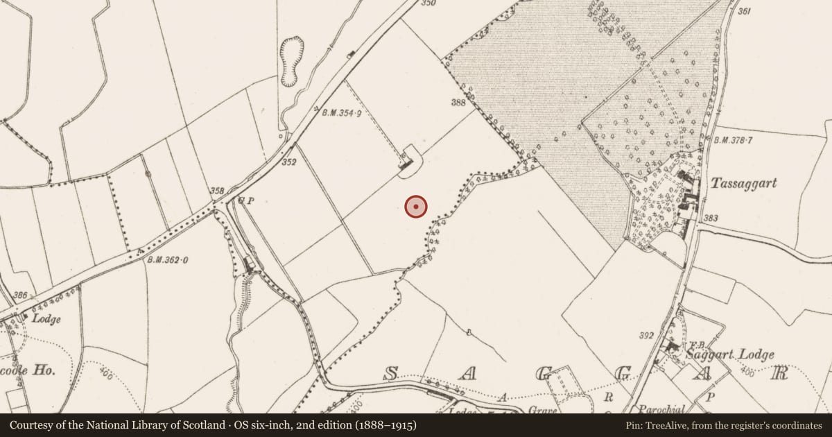 Ordnance Survey six-inch map, 2nd edition (1888–1915) covering the location of Field system, Collegeland, County Dublin, with a pin at the register's coordinates
