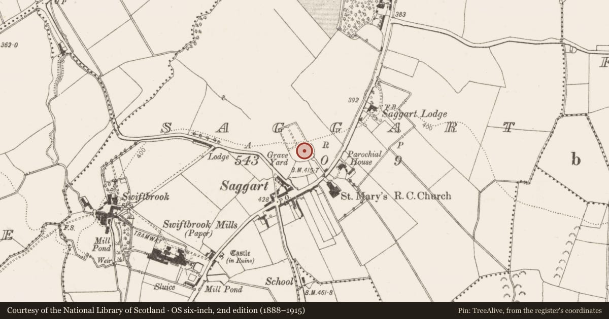 Ordnance Survey six-inch map, 2nd edition (1888–1915) covering the location of Ecclesiastical enclosure, Saggart, County Dublin, with a pin at the register's coordinates