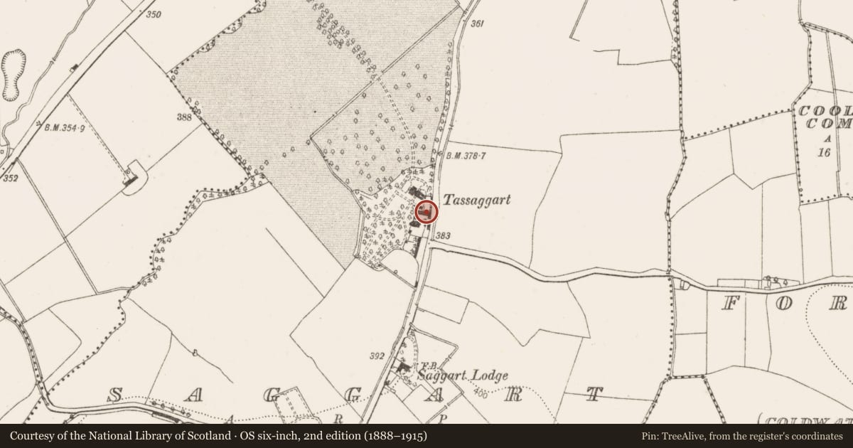 Ordnance Survey six-inch map, 2nd edition (1888–1915) covering the location of Castle - tower house, Saggart, County Dublin, with a pin at the register's coordinates