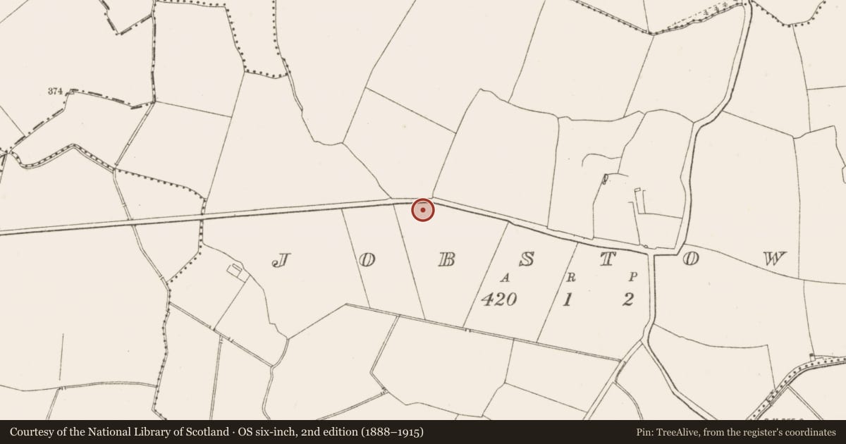 Ordnance Survey six-inch map, 2nd edition (1888–1915) covering the location of Castle - unclassified, Jobstown, County Dublin, with a pin at the register's coordinates