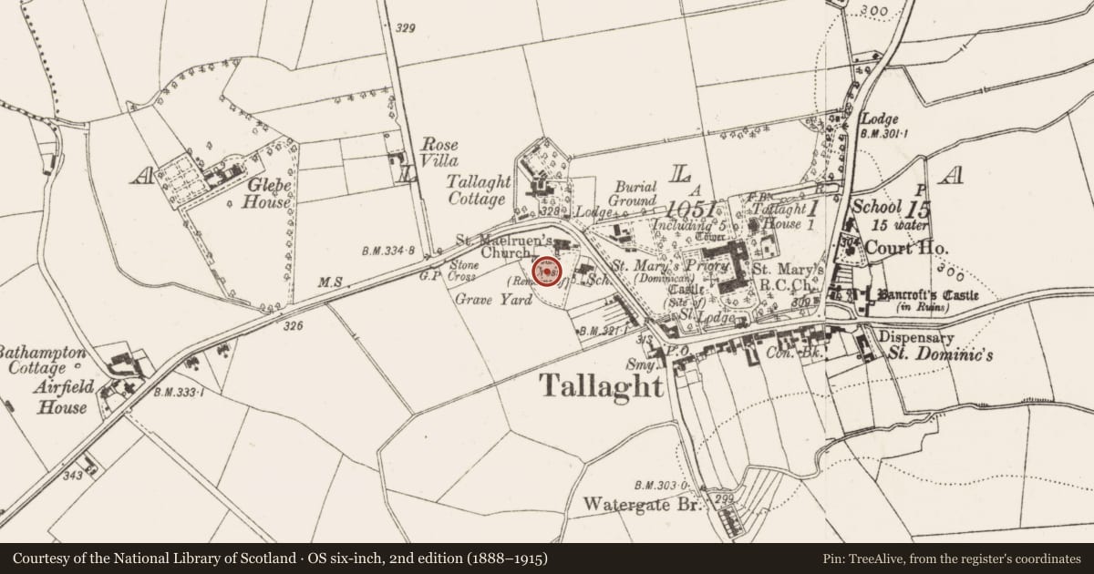 Ordnance Survey six-inch map, 2nd edition (1888–1915) covering the location of Graveyard, Tallaght, County Dublin, with a pin at the register's coordinates