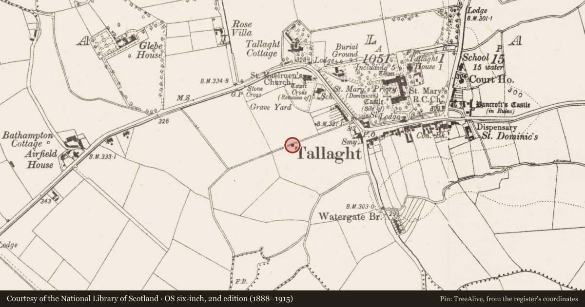 Ordnance Survey six-inch map, 2nd edition (1888–1915) covering the location of Mill - unclassified, Tallaght, County Dublin, with a pin at the register's coordinates