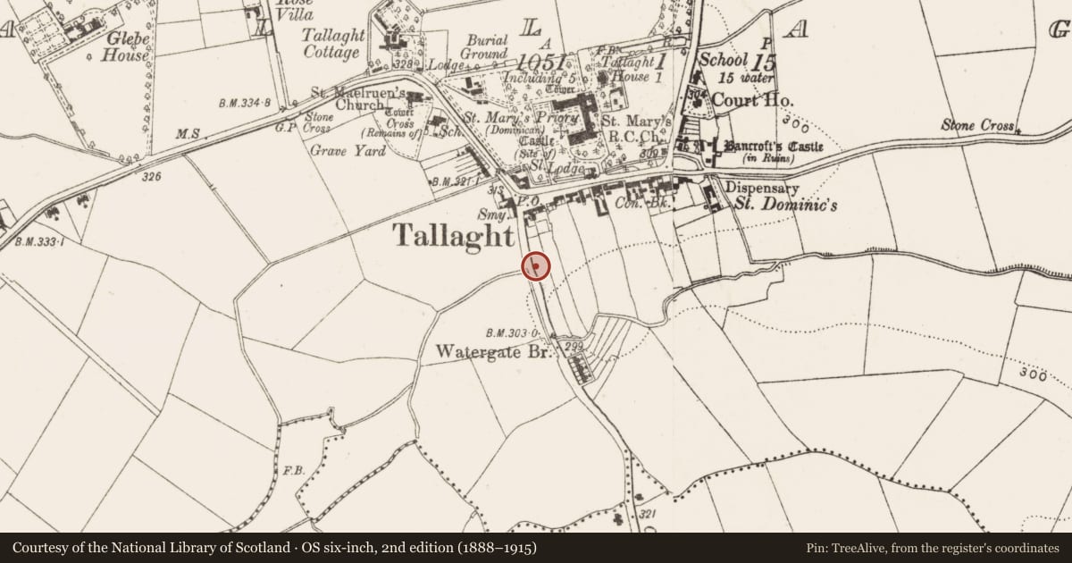 Ordnance Survey six-inch map, 2nd edition (1888–1915) covering the location of Enclosure, Tallaght, County Dublin, with a pin at the register's coordinates