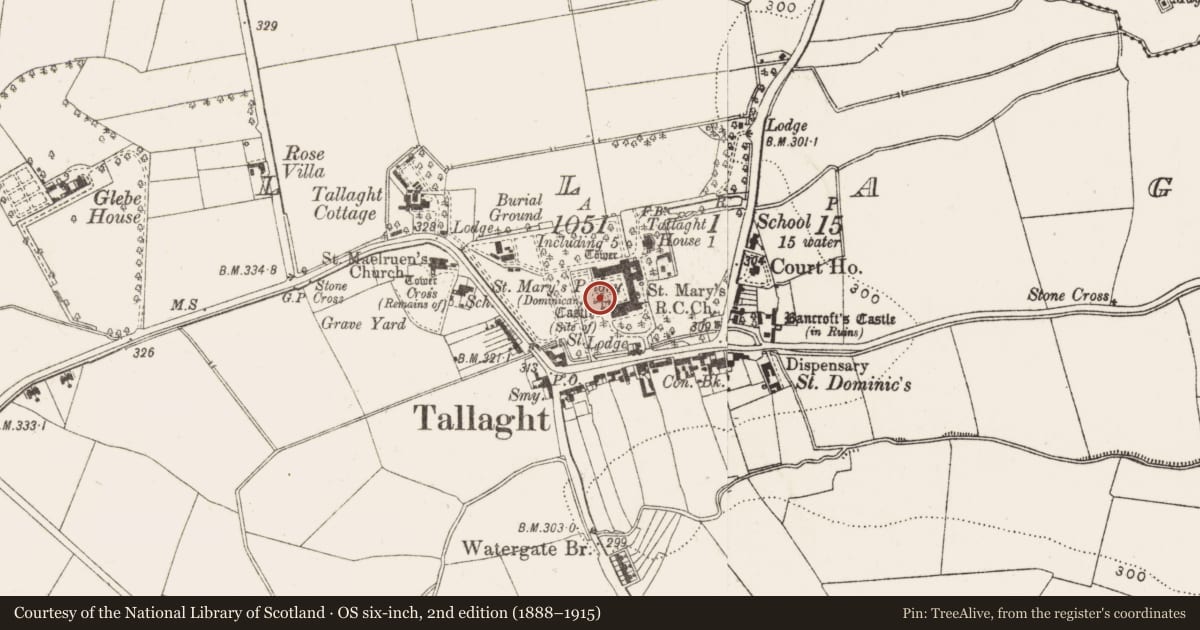 Ordnance Survey six-inch map, 2nd edition (1888–1915) covering the location of Castle - unclassified, Tallaght, County Dublin, with a pin at the register's coordinates