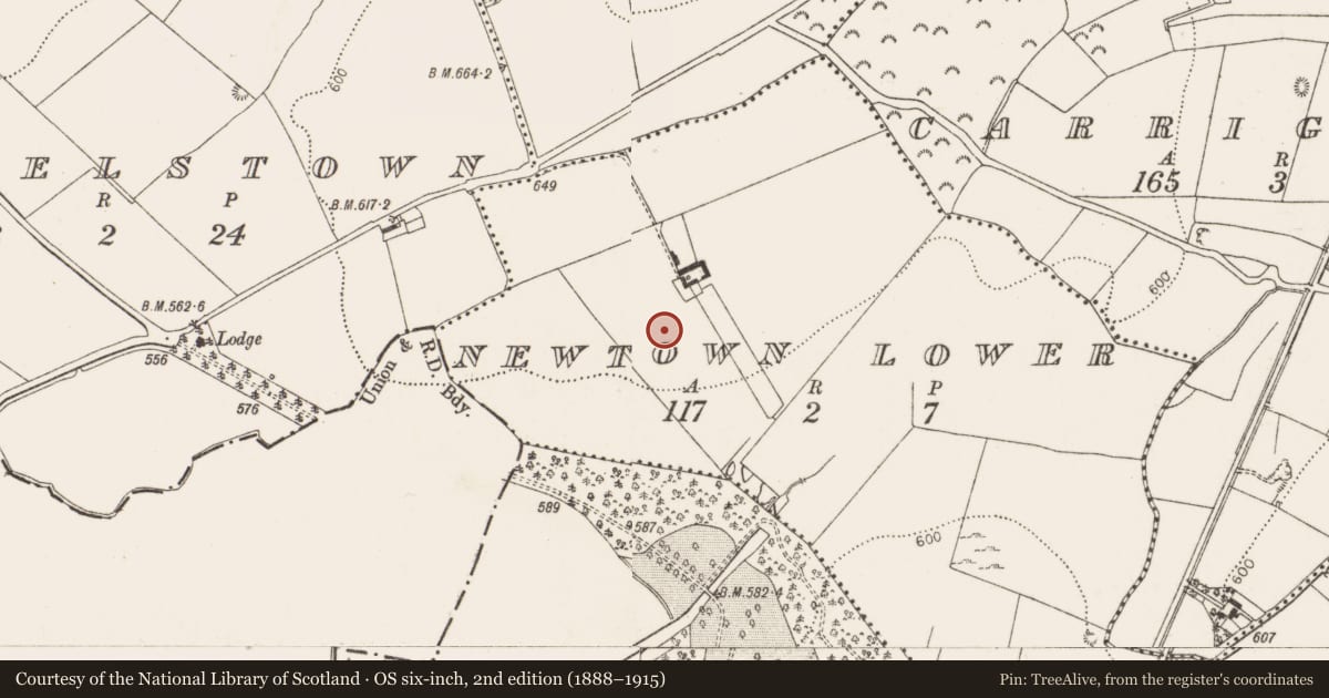 Ordnance Survey six-inch map, 2nd edition (1888–1915) covering the location of Barrow - ring-barrow, Newtown Lower, County Dublin, with a pin at the register's coordinates