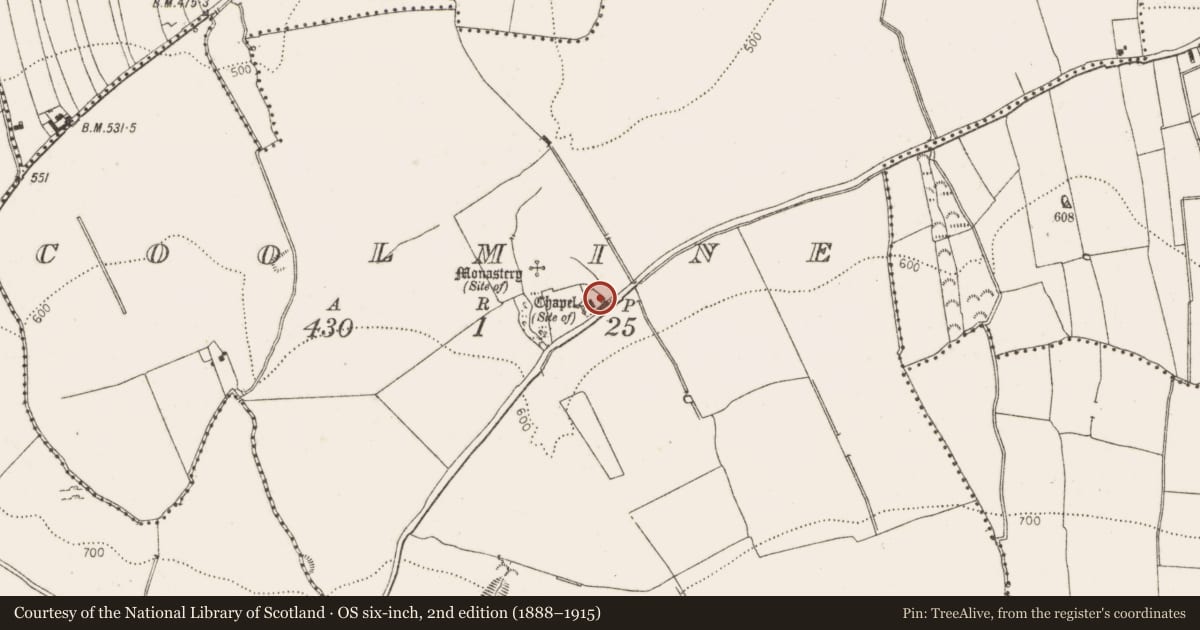 Ordnance Survey six-inch map, 2nd edition (1888–1915) covering the location of Chapel, Coolmine, County Dublin, with a pin at the register's coordinates