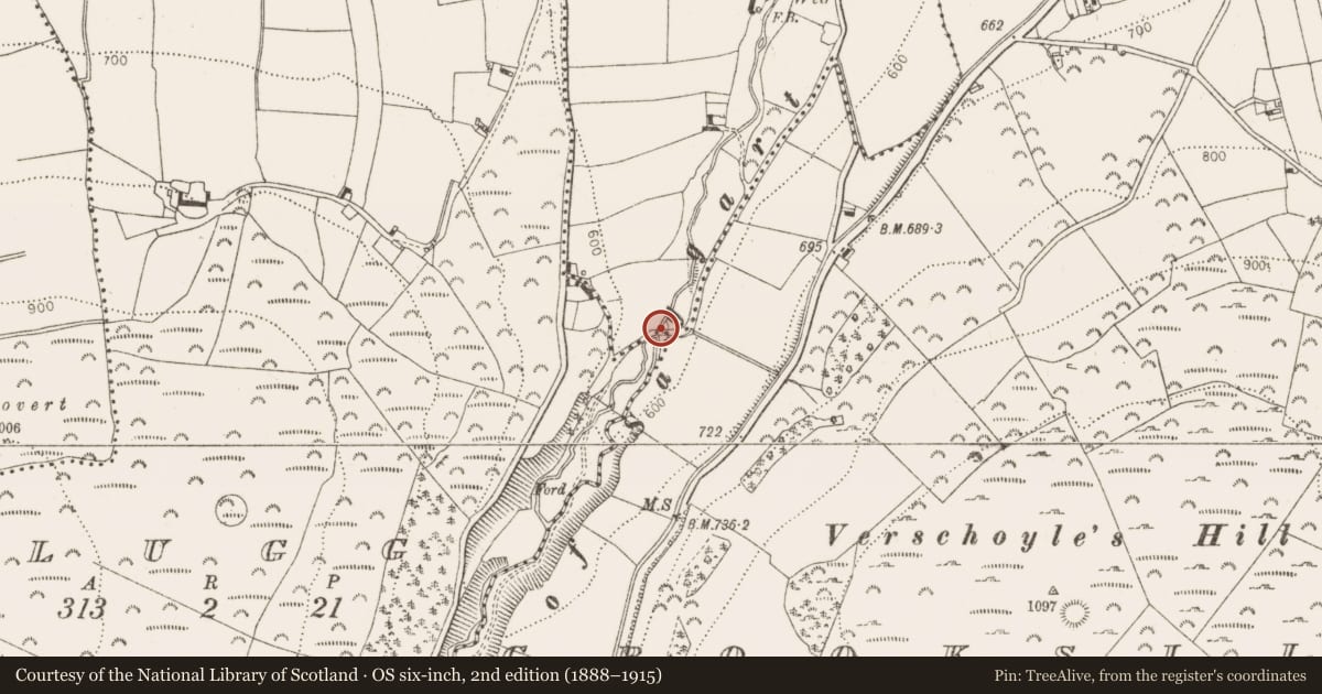 Ordnance Survey six-inch map, 2nd edition (1888–1915) covering the location of Bridge, Lugg, Slade, County Dublin, with a pin at the register's coordinates