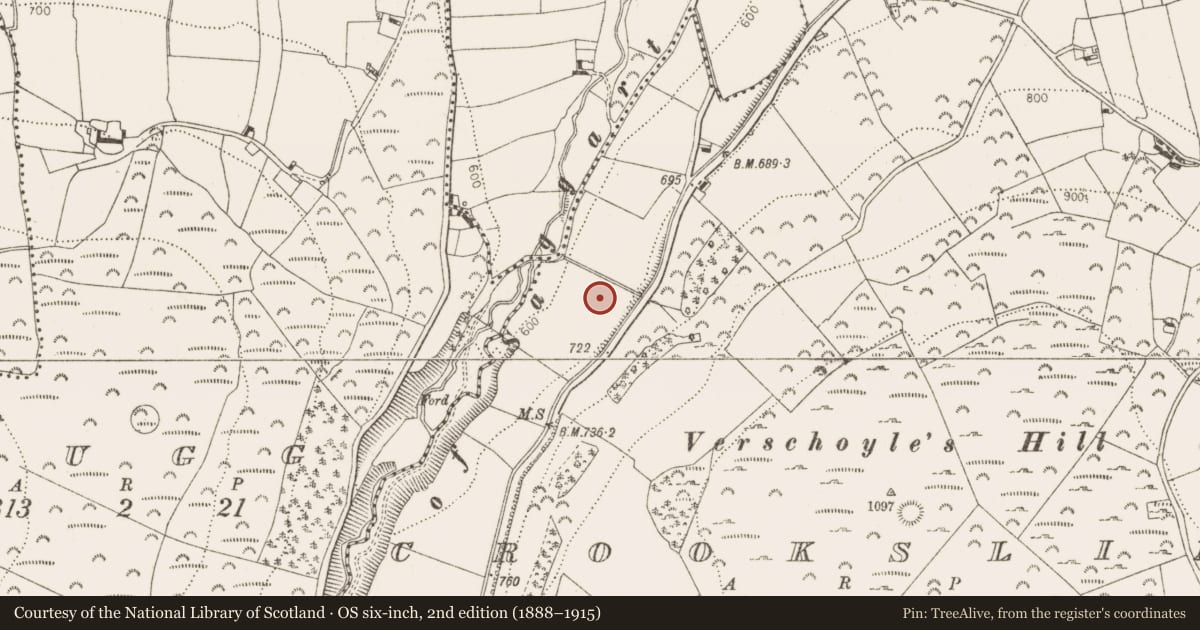 Ordnance Survey six-inch map, 2nd edition (1888–1915) covering the location of Cairn - unclassified, Crooksling, County Dublin, with a pin at the register's coordinates