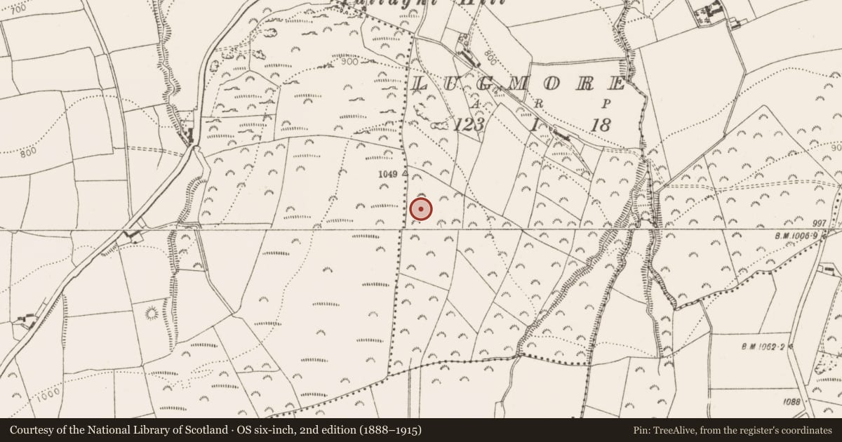 Ordnance Survey six-inch map, 2nd edition (1888–1915) covering the location of Barrow - ring-barrow, Corbally, Lugmore, County Dublin, with a pin at the register's coordinates