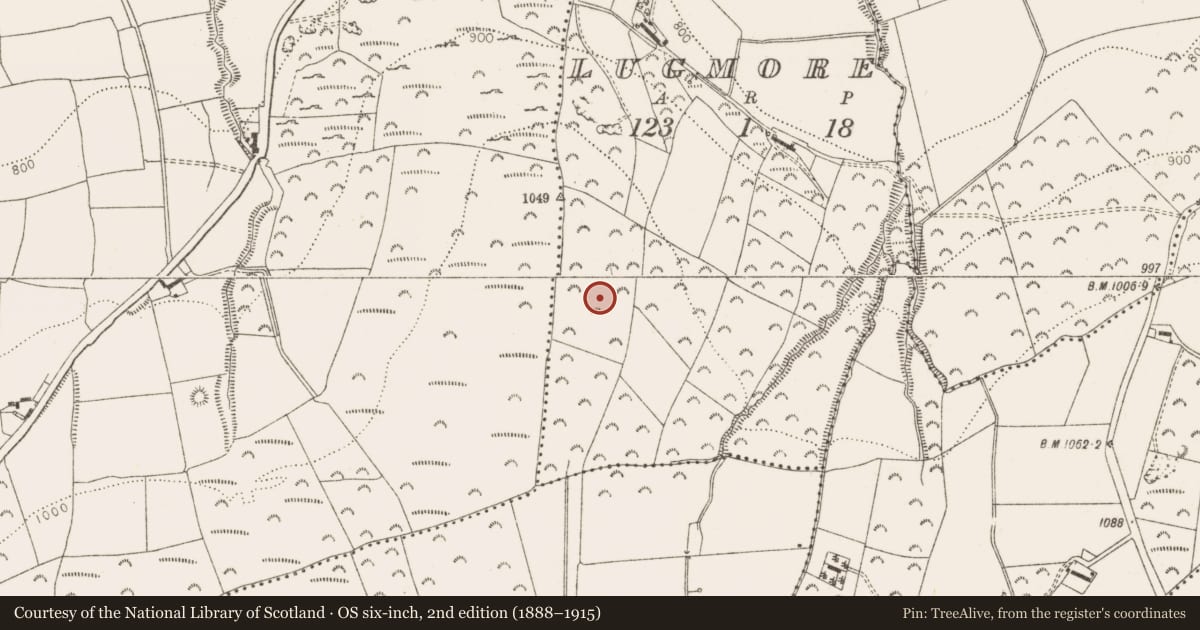 Ordnance Survey six-inch map, 2nd edition (1888–1915) covering the location of Ring-ditch, Lugmore, County Dublin, with a pin at the register's coordinates