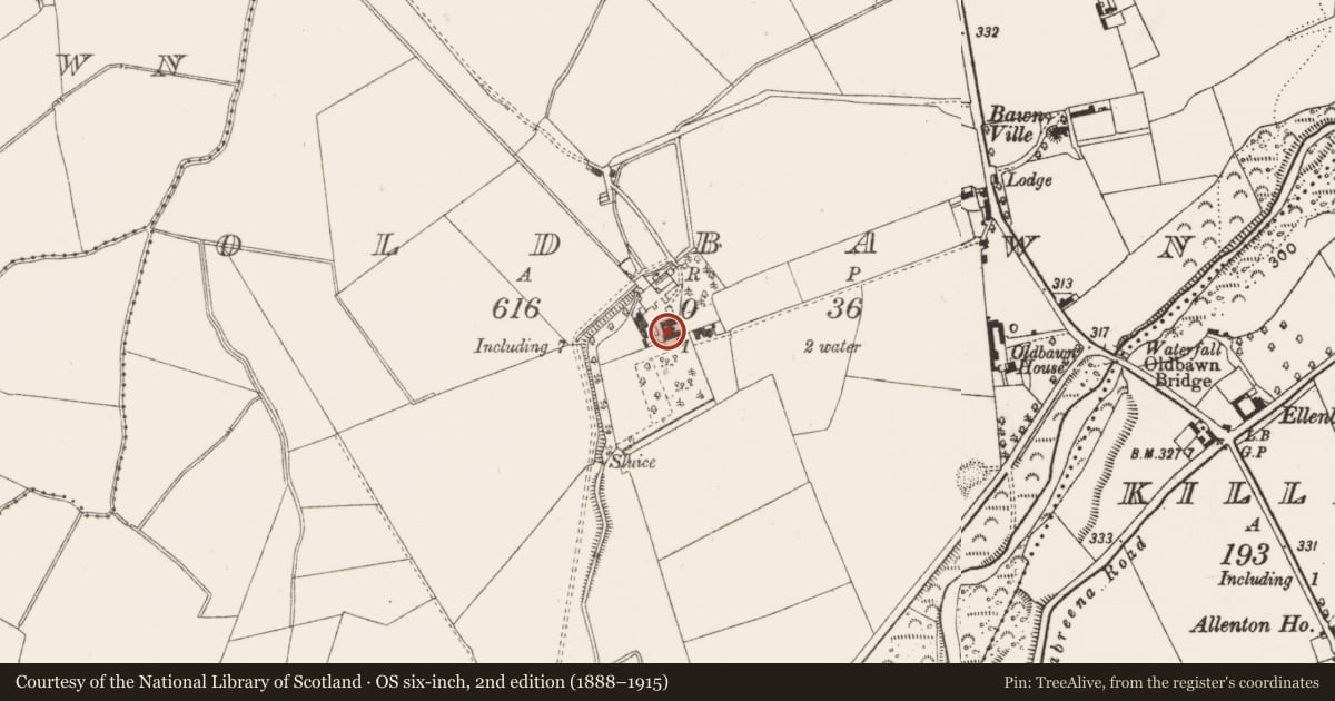Ordnance Survey six-inch map, 2nd edition (1888–1915) covering the location of House - 16th/17th century, Oldbawn, County Dublin, with a pin at the register's coordinates