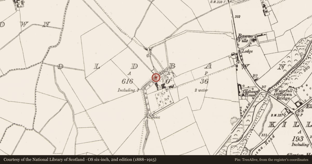 Ordnance Survey six-inch map, 2nd edition (1888–1915) covering the location of Water mill - unclassified, Oldbawn, County Dublin, with a pin at the register's coordinates