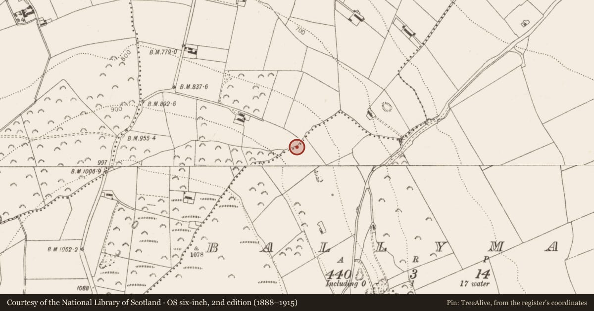 Ordnance Survey six-inch map, 2nd edition (1888–1915) covering the location of Church, Ballymana, Killinardan, County Dublin, with a pin at the register's coordinates
