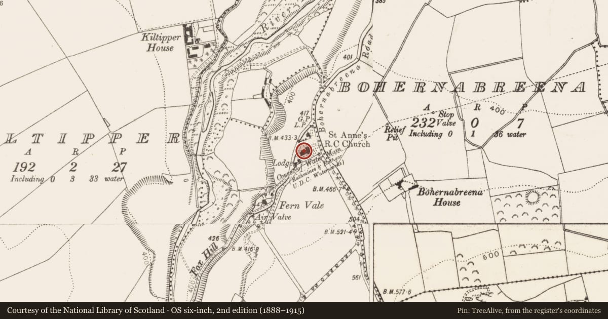 Ordnance Survey six-inch map, 2nd edition (1888–1915) covering the location of Church, Friarstown Upper, County Dublin, with a pin at the register's coordinates