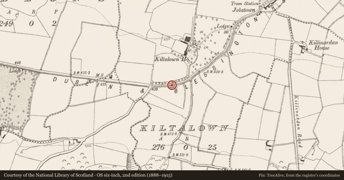 Ordnance Survey six-inch map, 2nd edition (1888–1915) covering the location of Linear earthwork, Tallaght, County Dublin, with a pin at the register's coordinates