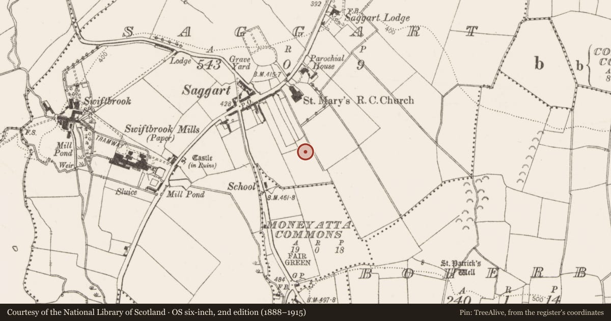 Ordnance Survey six-inch map, 2nd edition (1888–1915) covering the location of Fulacht fia, Moneyatta Commons, County Dublin, with a pin at the register's coordinates