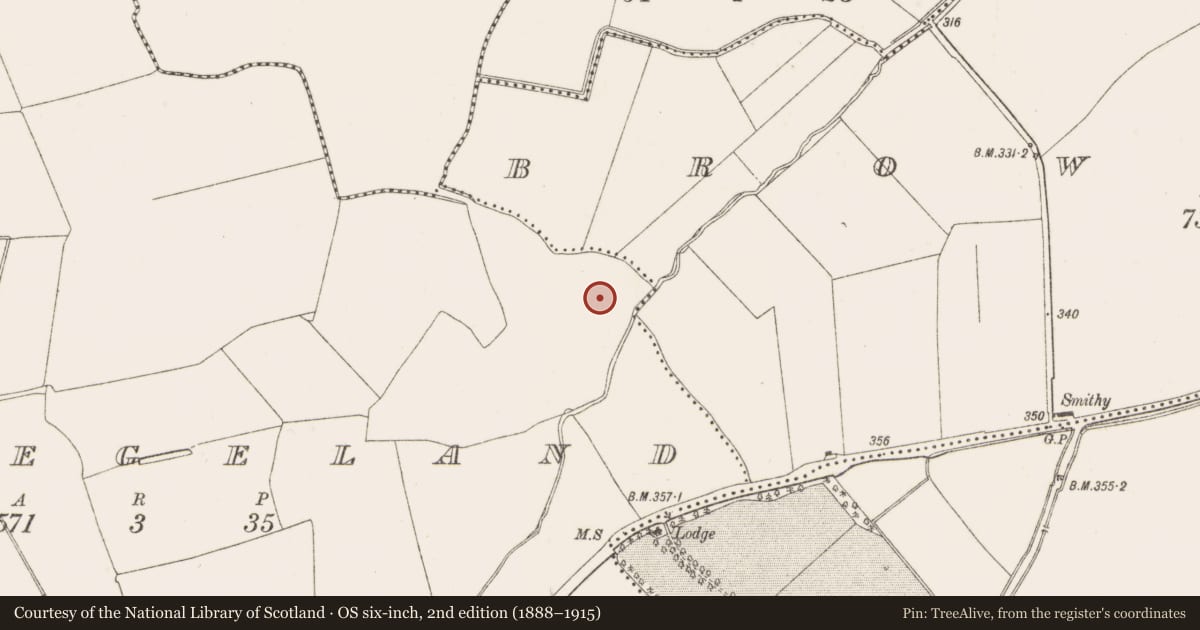 Ordnance Survey six-inch map, 2nd edition (1888–1915) covering the location of Burnt mound, Collegeland, County Dublin, with a pin at the register's coordinates