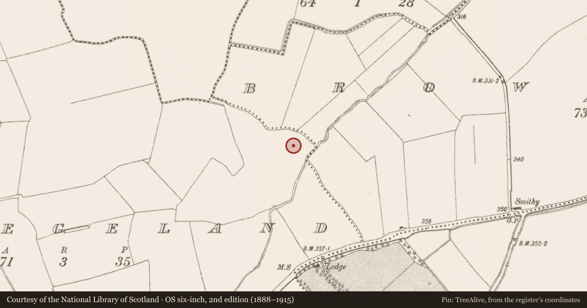 Ordnance Survey six-inch map, 2nd edition (1888–1915) covering the location of Burnt mound, Collegeland, County Dublin, with a pin at the register's coordinates