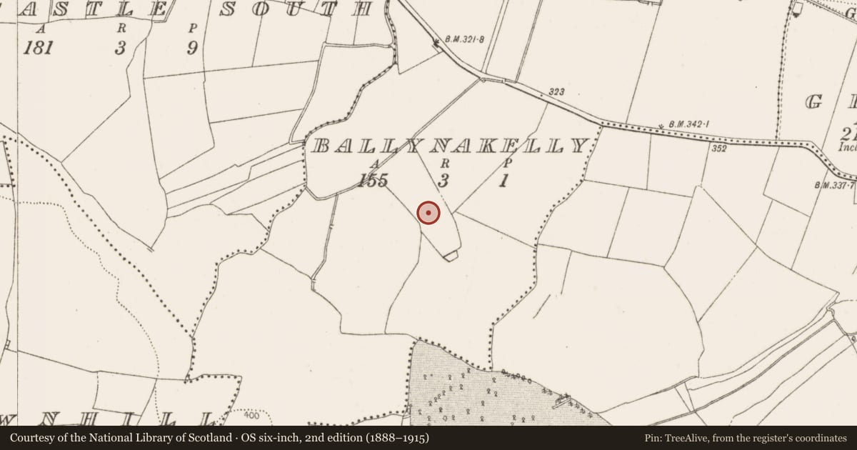 Ordnance Survey six-inch map, 2nd edition (1888–1915) covering the location of Enclosure, Ballynakelly, County Dublin, with a pin at the register's coordinates