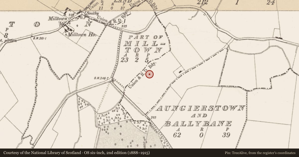 Ordnance Survey six-inch map, 2nd edition (1888–1915) covering the location of Enclosure, Ballybane, County Dublin, with a pin at the register's coordinates