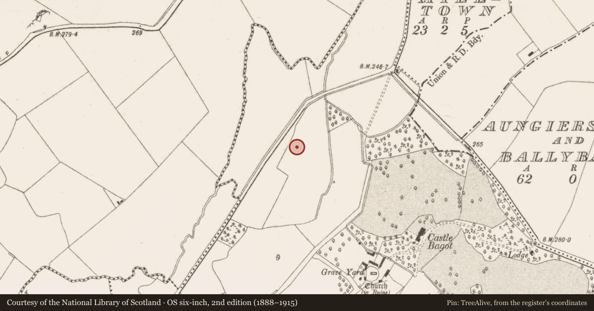 Ordnance Survey six-inch map, 2nd edition (1888–1915) covering the location of Enclosure, Kilmactalway, County Dublin, with a pin at the register's coordinates
