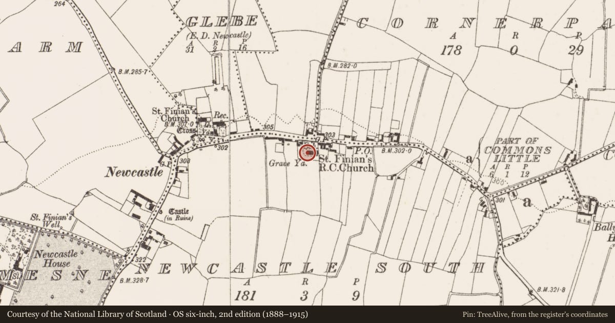 Ordnance Survey six-inch map, 2nd edition (1888–1915) covering the location of Font (present location), Newcastle South, County Dublin, with a pin at the register's coordinates