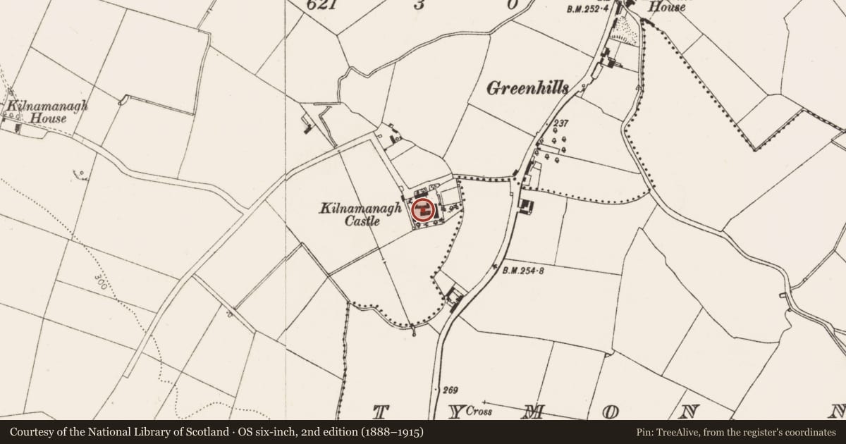 Ordnance Survey six-inch map, 2nd edition (1888–1915) covering the location of Church, Kilnamanagh, County Dublin, with a pin at the register's coordinates