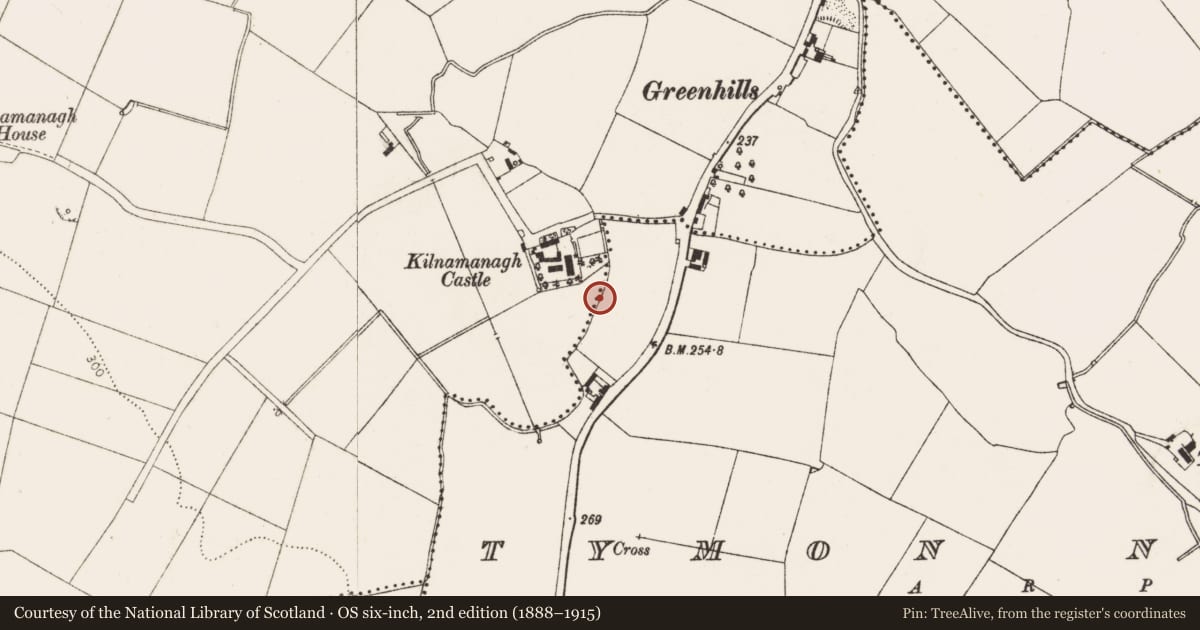 Ordnance Survey six-inch map, 2nd edition (1888–1915) covering the location of Ecclesiastical enclosure, Kilnamanagh, County Dublin, with a pin at the register's coordinates