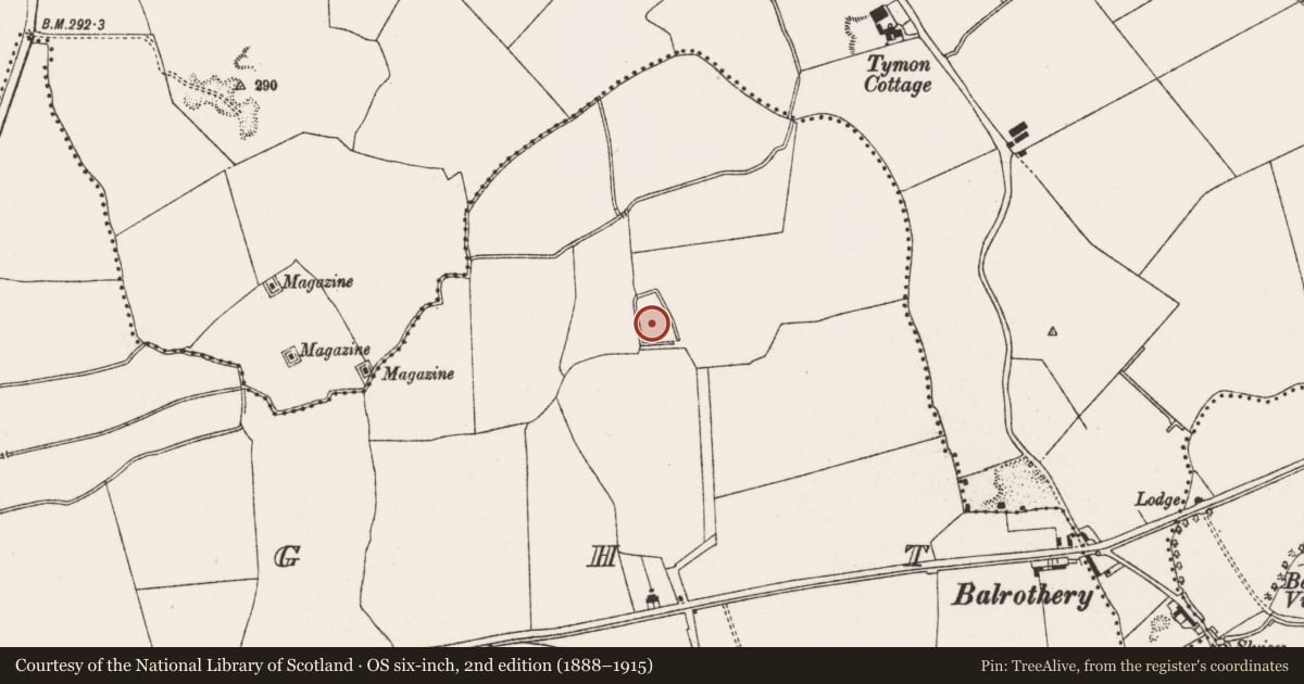 Ordnance Survey six-inch map, 2nd edition (1888–1915) covering the location of Moated site, Tallaght, County Dublin, with a pin at the register's coordinates