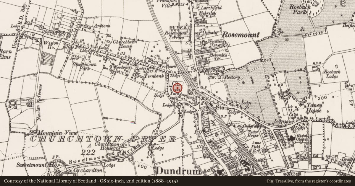 Ordnance Survey six-inch map, 2nd edition (1888–1915) covering the location of Graveyard, Dundrum, County Dublin, with a pin at the register's coordinates
