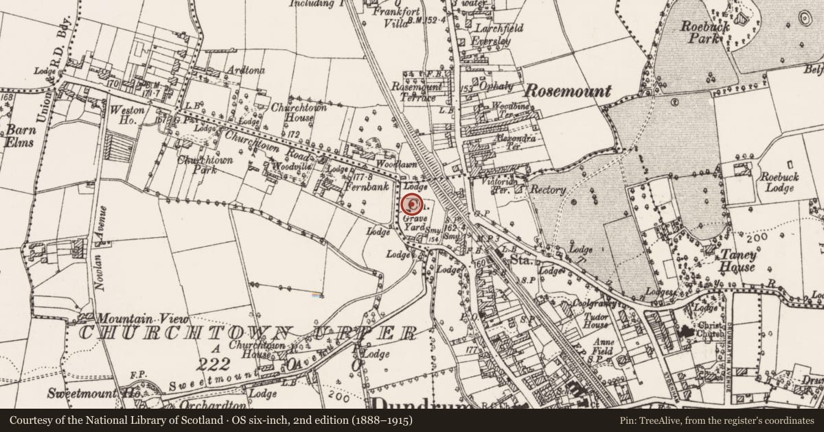 Ordnance Survey six-inch map, 2nd edition (1888–1915) covering the location of Graveslab, Dundrum, County Dublin, with a pin at the register's coordinates