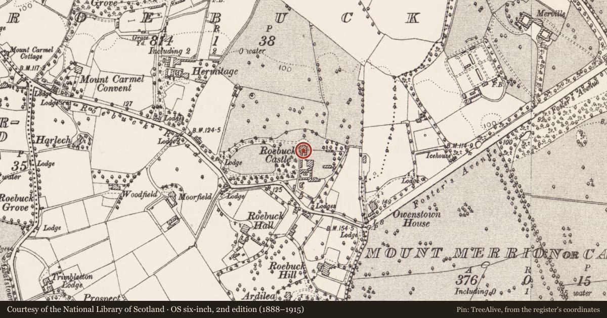Ordnance Survey six-inch map, 2nd edition (1888–1915) covering the location of Castle - unclassified, Roebuck, County Dublin, with a pin at the register's coordinates