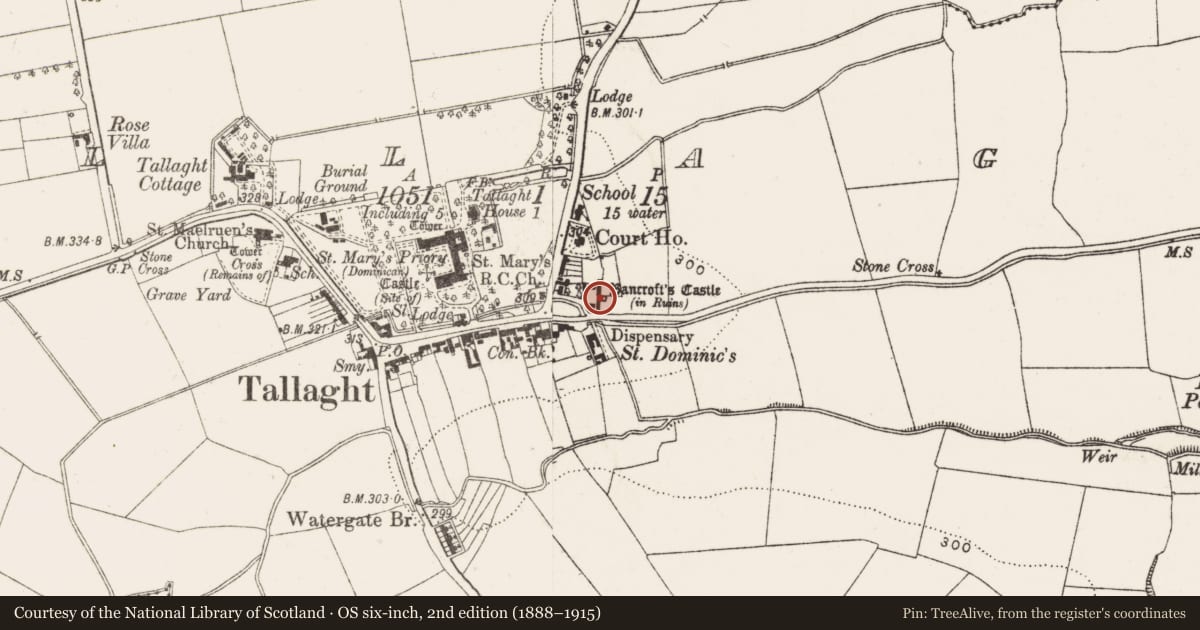 Ordnance Survey six-inch map, 2nd edition (1888–1915) covering the location of Castle - tower house, Tallaght, County Dublin, with a pin at the register's coordinates