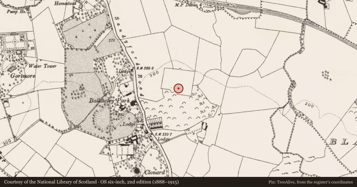 Ordnance Survey six-inch map, 2nd edition (1888–1915) covering the location of Castle - tower house, Balally, County Dublin, with a pin at the register's coordinates