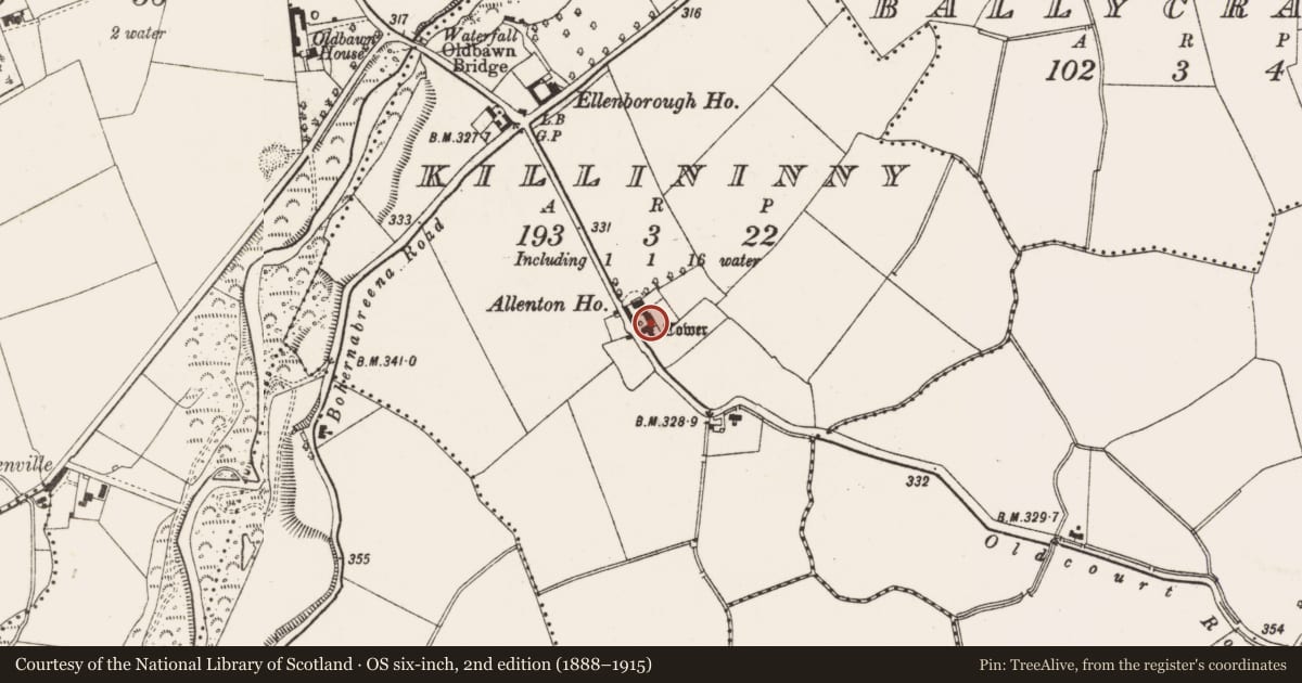 Ordnance Survey six-inch map, 2nd edition (1888–1915) covering the location of Graveyard, Killininny, County Dublin, with a pin at the register's coordinates