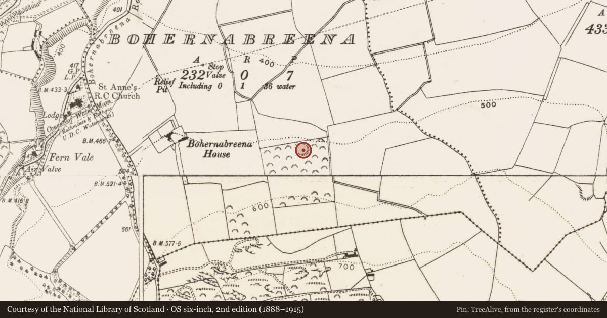 Ordnance Survey six-inch map, 2nd edition (1888–1915) covering the location of Ringfort - unclassified, Bohernabreena, County Dublin, with a pin at the register's coordinates